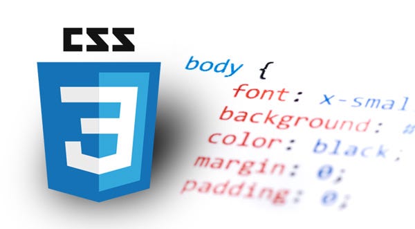 CSS Logo and Code